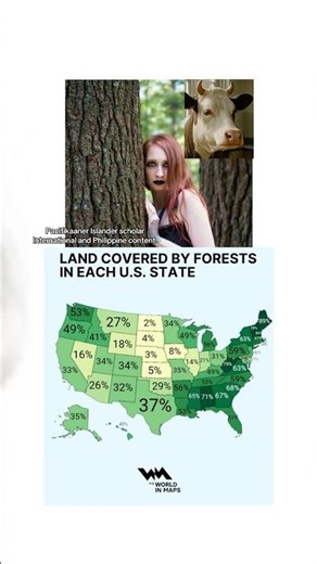 Land covered by forests in each u.s state #geography #map #maps #mapper #geographythroughmaps #facts