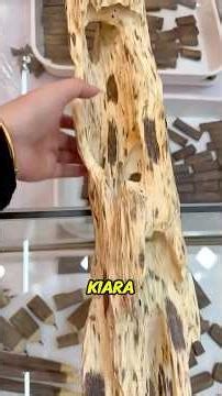 🔥 Why is Kinam (Kiara) the most expensive tree on Earth? #viral #new #facts #funny