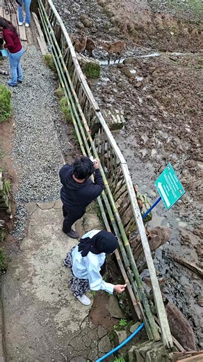@Ranca Upas Ciwidey Bandung ... explore @ciwideybandung_ @wisatahitsbandung with GUSCAR tourism @guscartourandtravel ... 💛info wisata ciwidey bandung, TIKET booking (All wisata diskon), KETERING ciwidey, tour GUIDE, FOTOGRAFER 📷, Penginapan-Villa🏡, Oleh² khas ciwidey (🍓 bandrek, teh dll, sewa TENDA, paket (🚙Tour n Travel 'GUSCAR' wisata Bandung - Jogja - Indonesia, Ziarah² Wali Dll) OJEK🛵 antar-jemput dll. ••• ☎️ https://wa.me/6285864946000 ••• Ready Paket Outbound (Hiking Gn ciwidey dn Ba