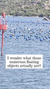 157K views · 110 reactions | I wonder what those numerous floating objects actually are? #sea #maritime #Seafarer #Amazing | marine photography | Facebook