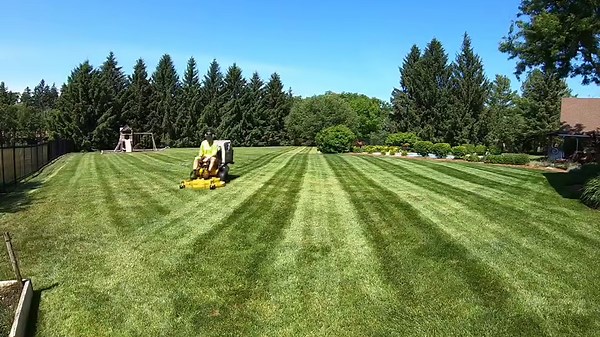 Lawn Care Tips: Mastering the Perfect Mow!