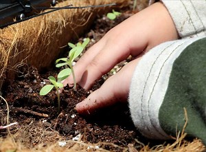 Pandemic home improvement projects mean good business for hardware stores