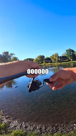 - 7556347137638812958 . #fyp #fishing #fishtok | Joey Bassbros