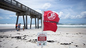 Florida beach warning flags: What do flag colors mean?