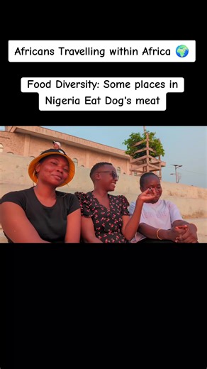 Eating Dogs is Okay in Some regions or states in Nigeria. Africans Travelling within Africa 🌍#africa #usa #food #foodtiktok #foodie