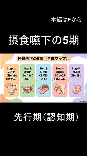 摂食嚥下の5期「先行期〜食道期」の役割と見極めポイントを徹底解説【介護福祉士国試】 #介護福祉士 #介護福祉士国家試験 #摂食嚥下の5期 #先行期 #準備期 #口腔期 #咽頭期 #食道期
