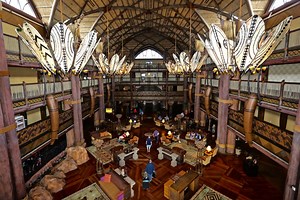 Five Decades of Magic at Walt Disney World Resort – the 2000s