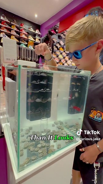 Would You Trade a Quarter for a Pair of $300 Sneakers? #challenge #coindropgames #game #streetwearstore #coin #fyp #foryou #oddlysatisfying #funny #reward