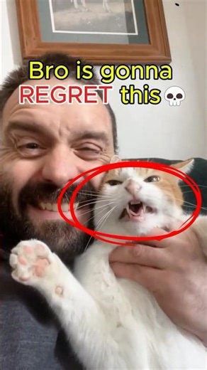 Most DRAMATIC Pet Reactions Ranked!