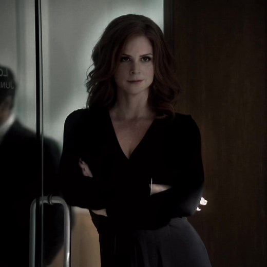 Redhead Donna Paulsen Suits Edit: Suits Netflix Recap