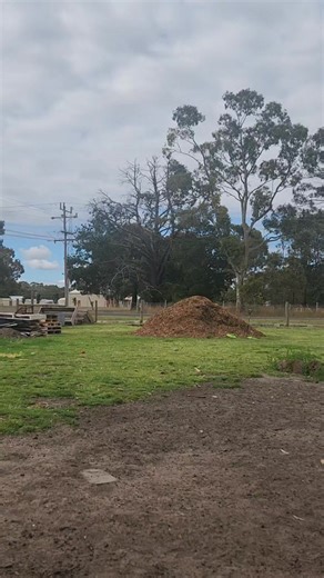 14K views · 697 reactions | My place | Brian's Place | Facebook