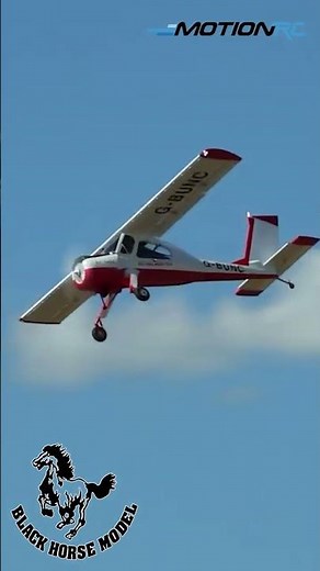 88" PZL-104 Wilga from Black Horse is a beautiful gentle giant!