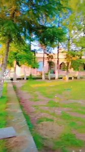 Hostel_students_playing_cricket. | Excelsior College Swat ایکسلسیئرکالج سوات