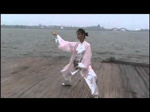 Yang Style 40 Taijiquan