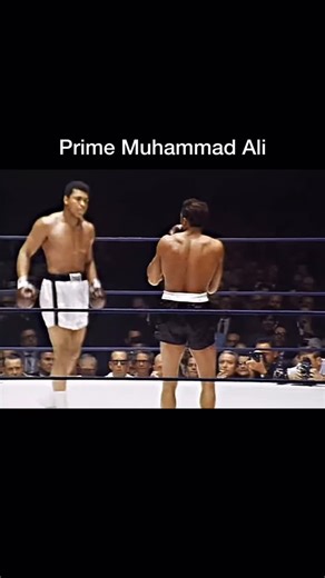 Fighting Icons on Instagram: "Muhammad Ali’s best performance. Muhammad Ali vs. Cleveland Williams was a professional boxing match contested on November 14, 1966, for the WBC, NYSAC, and The Ring championship. Page is for 💰 @fighting_icons 🥊 #muhammadali #boxing #fight #knockout #boxer"