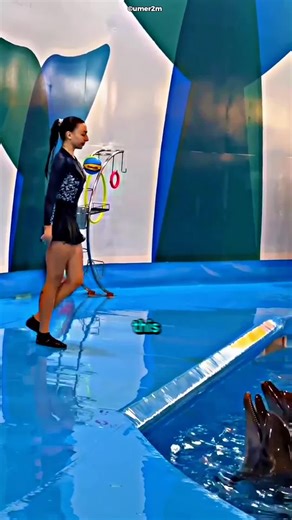 Unbelievable Dolphin Show Fail!