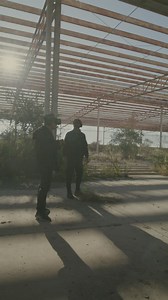 Free Weed Videos: 4K & HD | No Watermark | Download Now