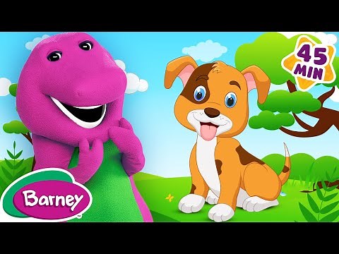 Taking Care of Your Pet | Responsibility for Kids | Full Episode | Barney the Dinosaur