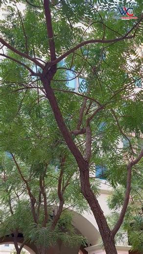 11K views · 169 reactions | Exciting Opportunities in the Czech...