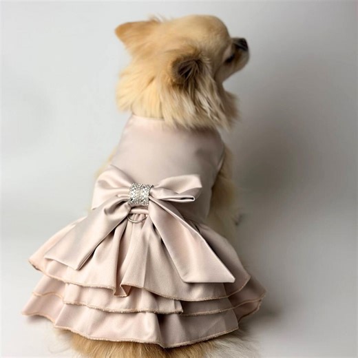 Wedding Satin Dog Dress | Elegant Pet Outfit With Tulle Skirt - Etsy