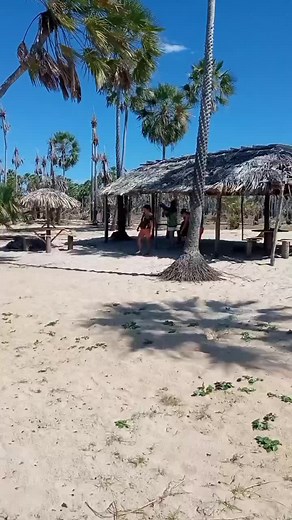 Experience Serenity at a Beautiful Beach Retreat