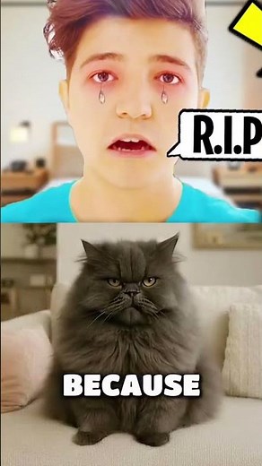 Preston bought a mouse...