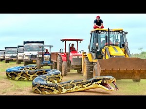 JCB 3dx Backhoe 🟡, Four Trucks and Tractor Were Going To Load Soil, they found a Snake On The Road