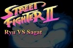 Play Street Fighter II - Ryu vs Sagat | Free Online  Games. KidzSearch.com