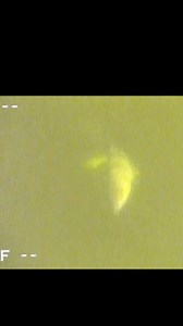 4.7K views · 71 reactions | Underwater Jumbo Perch Strike! | Old Hat Outdoors | Facebook