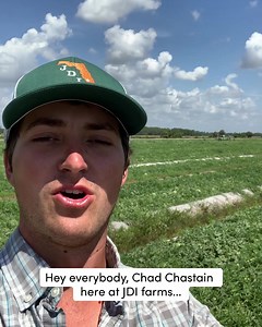 12K views · 842 reactions | Florida watermelon is in season and JDI farms is working hard to get it to a grocery store near you! | Fresh From Florida | Facebook