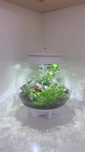 Add a touch of nature to your home with the AIR 30 Terrarium! Click here for more: https://loom.ly/oyd_1NY #biOrb #biOrbAIR #terrarium #plantlover | biOrb