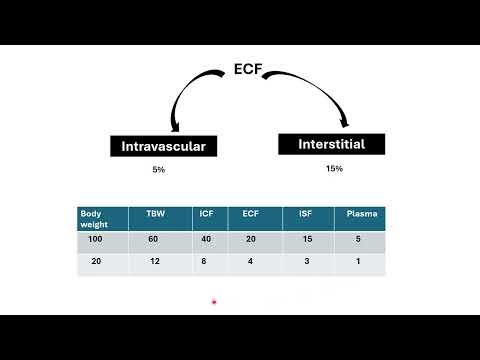 Fluid Balance & Osmosis ببساطة | Total Body Water من غير لخبطة | Physiology Ep.1