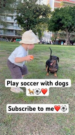 Play soccer with dog 🐶⚽️❤️ #dog #soccer #playsoccerdog #sport #raian