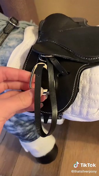 Super Excited for Dressage Practice!