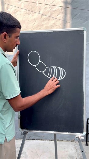 Easy ant drawing tutorial ||☺️👌 #antdrawing #drawing #ytviral