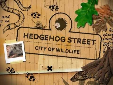 Hedgehog Street Challenge by PTES & BHPS