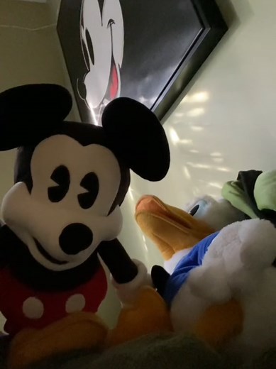 Puppet Mickey Reacts to Matildfox's 'No No No' Meme