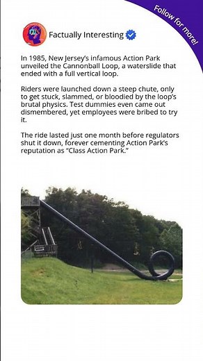 The Waterslide Too Dangerous for Action Park