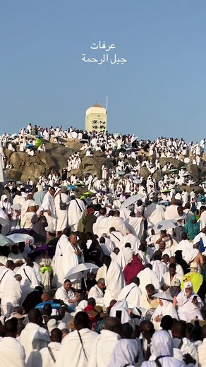 جبل الرحمة في يوم عرفة: مشاهد مذهلة