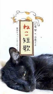 "Cat Tanka" Satoru Nio × Sayo Koizumi × Tokyo Cat Guardian #011