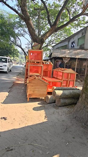 Handmade Wooden Bird & Chicken Houses Durable & Farm-Friendly #WoodenChickenCoop #PoultryHouse #HandcraftedDesign #FarmLife #BackyardFarming #ChickenCoopBuild #WoodWork #FarmSetup #RuralLifestyle #EcoFriendlyBuild #BirdHouseDesign | Suborna fancy pigeon loft