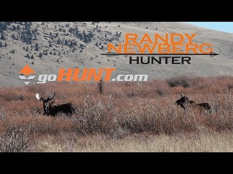 How To Use goHunt INSIDER To Draw Idaho Big Game Tags
