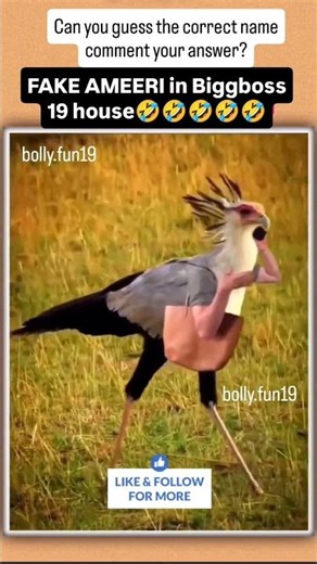 BIG BOSS 19 Memes | Funny Memes | Viral Short #bigboss19 #bb19 #biggboss