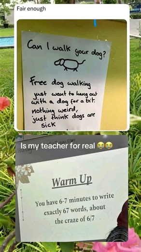 A Handwritten Note Offering Free Dog Walking for Pure Love of Dogs 🐕😊