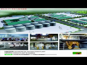 Oil Refining Basics – Essential Knowledge for Edible Oil Processing Professionals