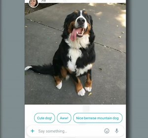 Google Has Two New Apps, Allo For Messaging And Duo For Video Calls - BGR