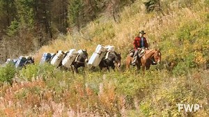 47K views · 1.5K reactions | A career as a Fish, Wildilfe & Parks game warden can be rewarding. | Montana Fish, Wildlife & Parks | Facebook