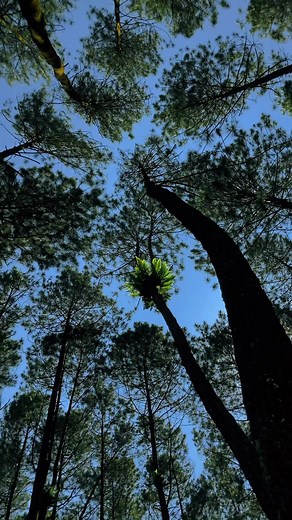 Surga bagi pecinta alam | Bang Beng