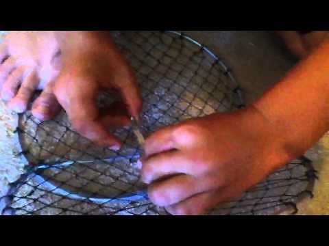 How to set a bird trap