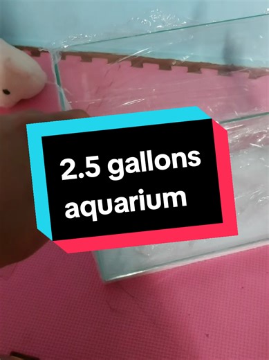 Setting Up a 2.5 Gallon Aquarium for Guppies